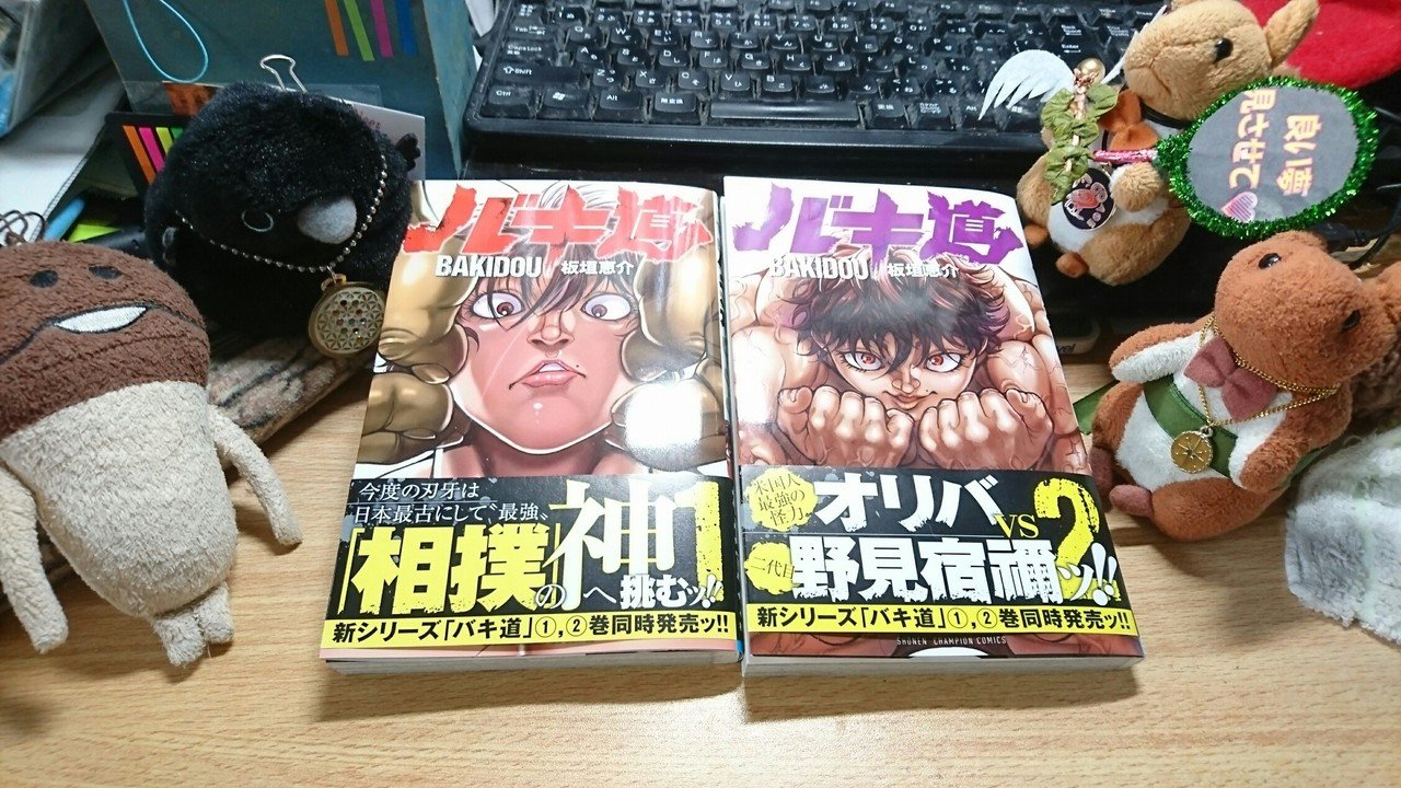 怪奇 壊れた両手両足でサンドバッグを叩き続けて全快する男 乙女の聖典 女子こそ読みたい 刃牙 シリーズ その16 金田淳子 Note