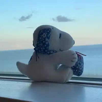 きょろぽっぽ