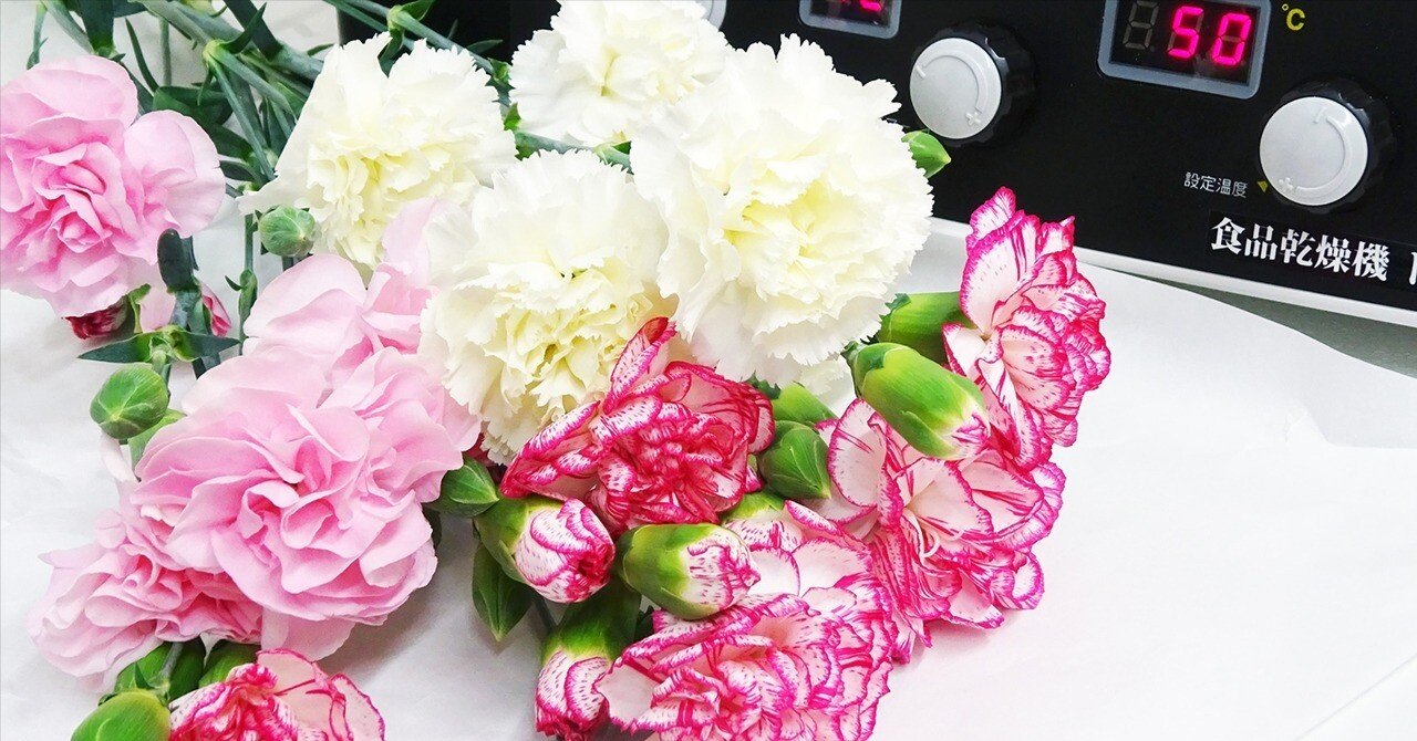 f6c16dc79d7b714870f7a622dbabeb