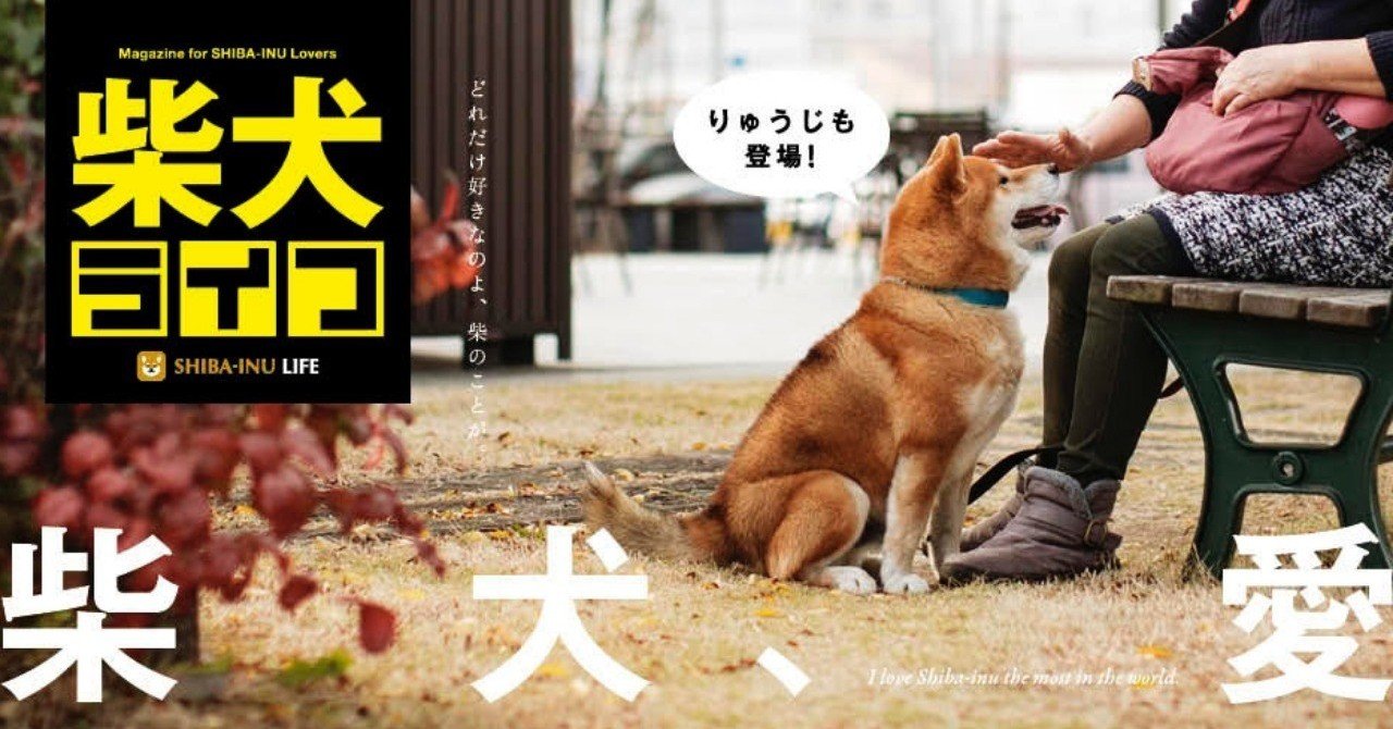 雑誌『柴犬ライフ』の内容を紹介します。｜KKベストセラーズ