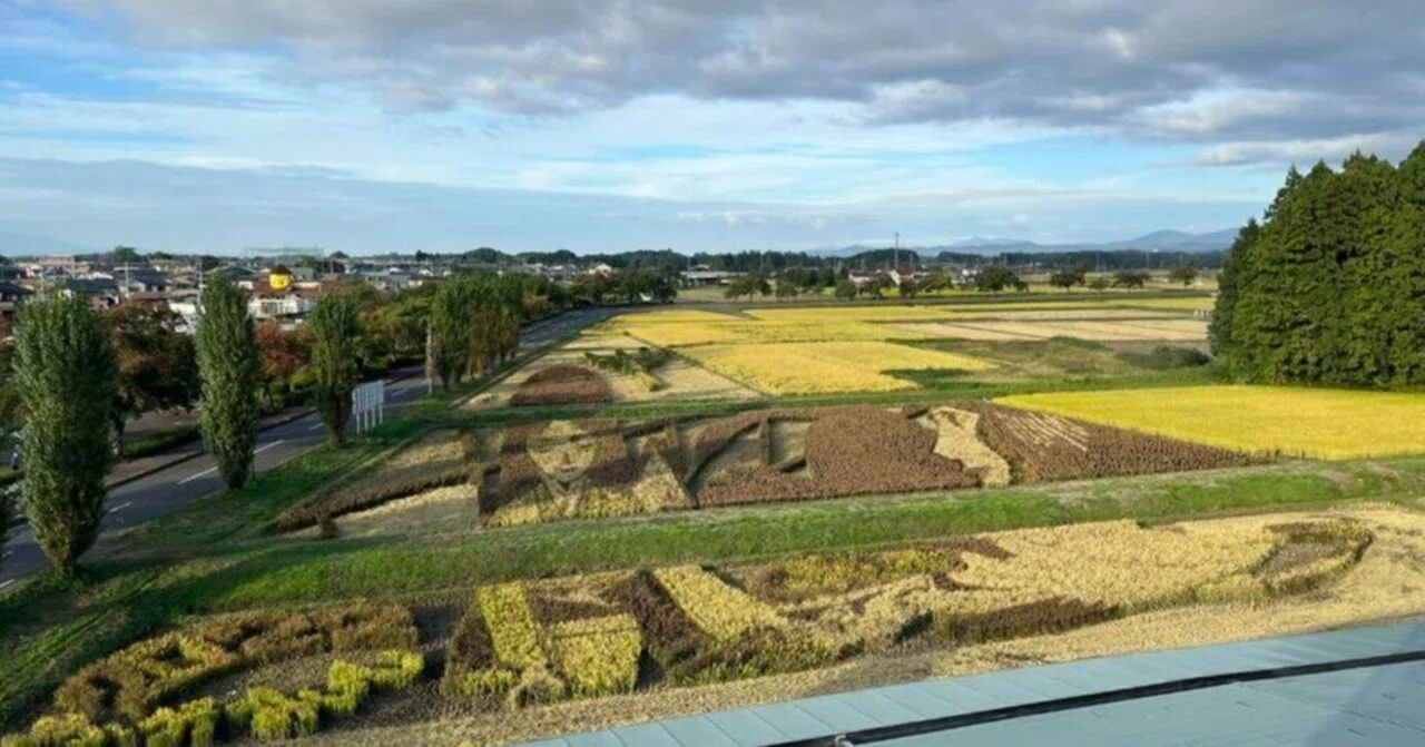 田んぼがキャンバス、自然が画材」- アートの力で地域を盛り上げる