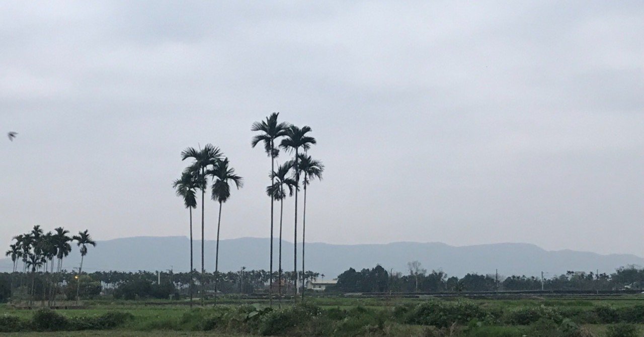 ツイッター プチ