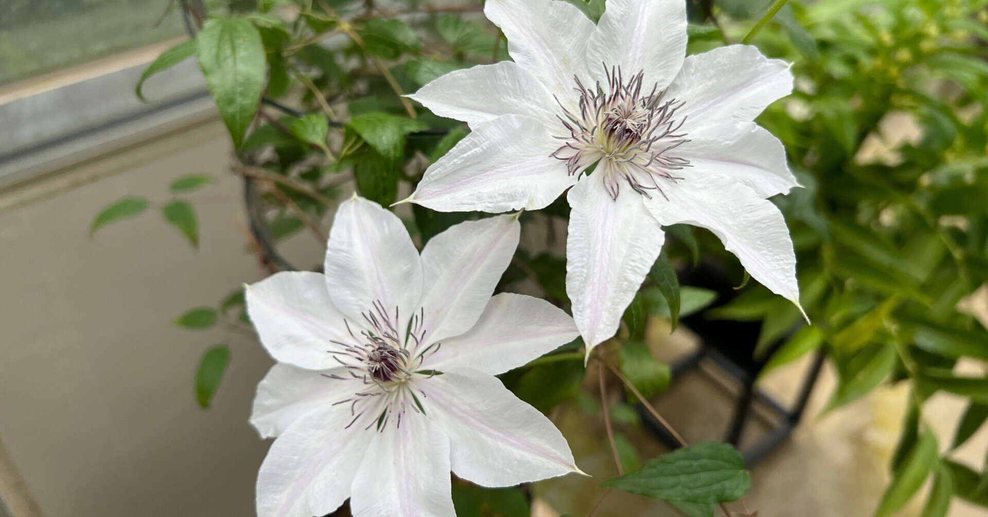 御供え花 造花 仏花 紫クレマチス 7月No.2