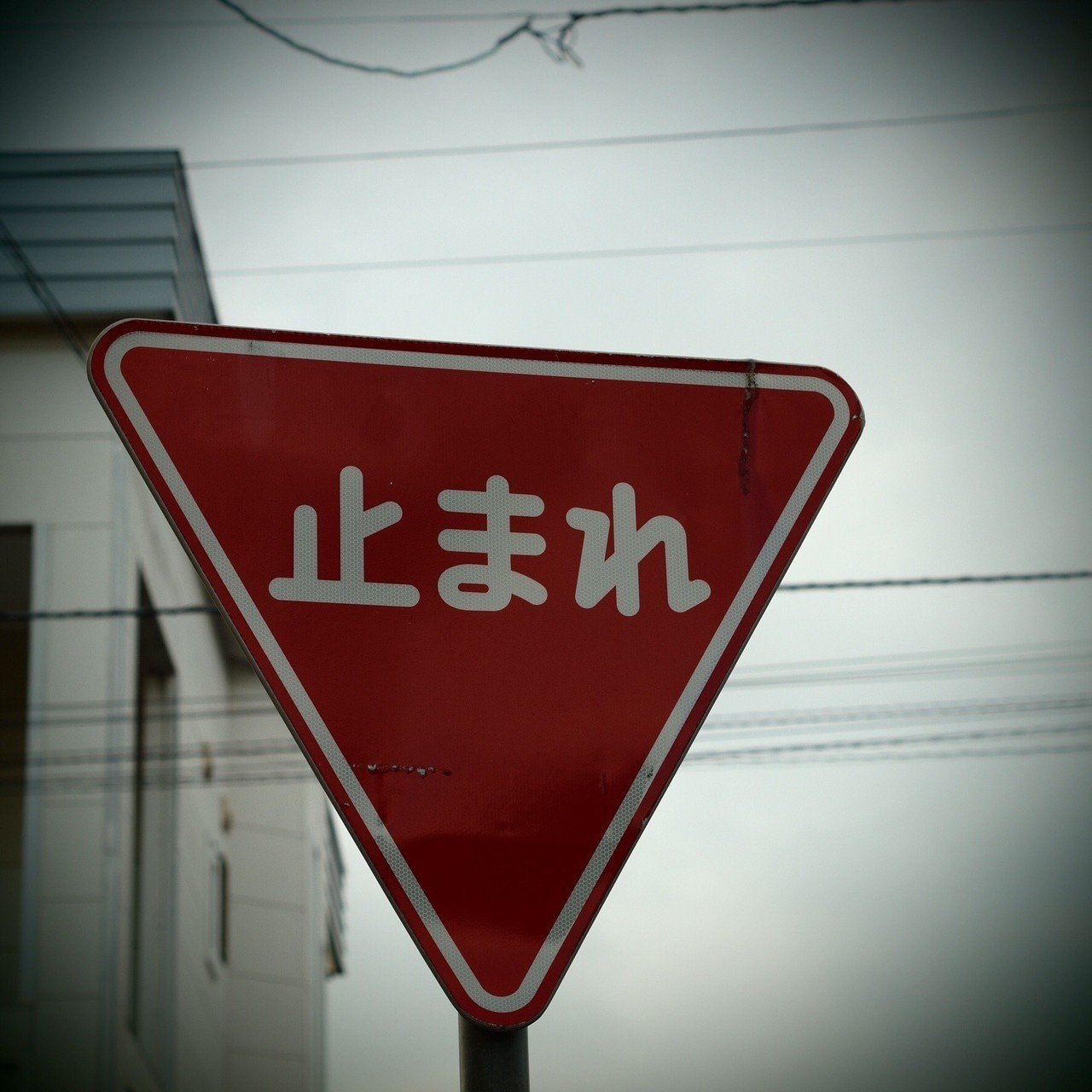 2014年も残りはひと月半… あっと言う間の一年。 年々 過ぎ行くスピードが加速されますね〜。 冬が本気出す前に、立ち止まって、 ゆっくり考え ...