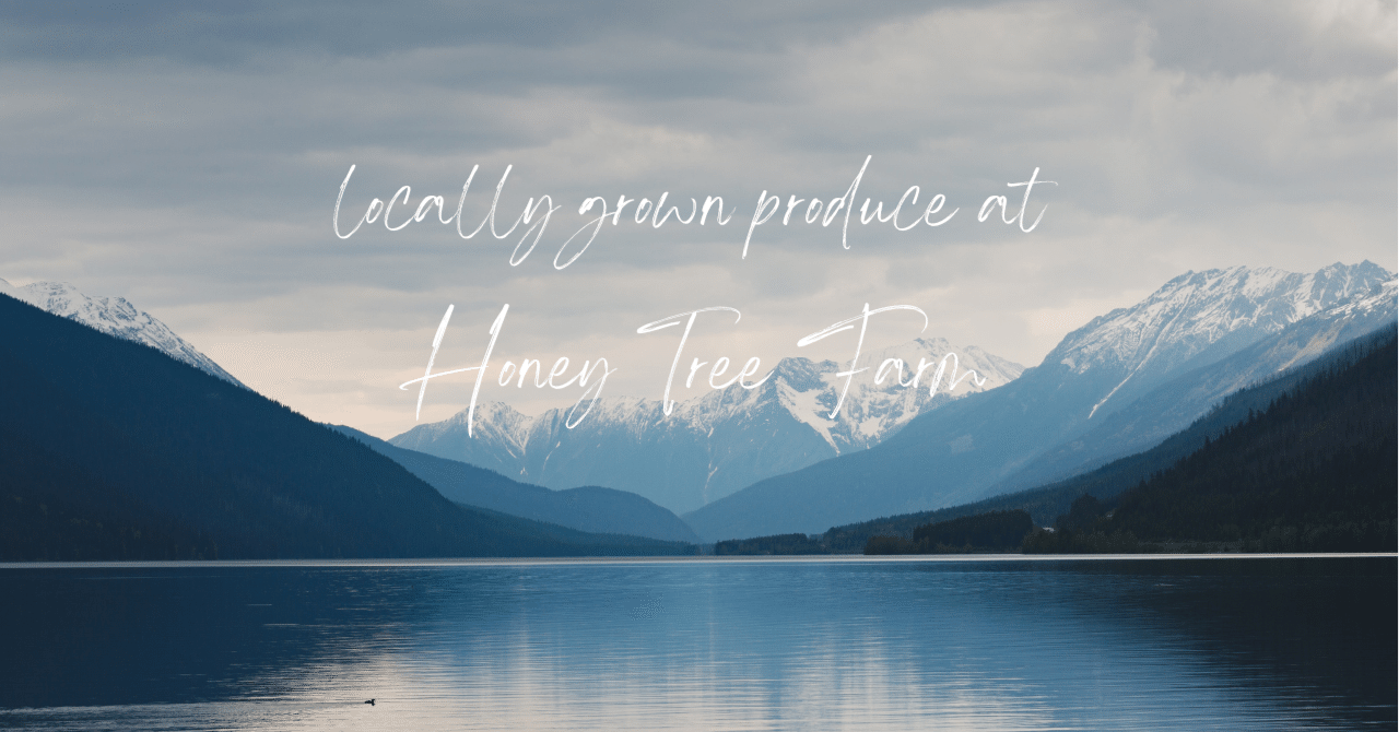  Appleの大規模なノースカロライナデータセンターが年末までに準備完了