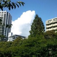 読書録 法律を読む技術 学ぶ技術 谷内田真也 Note