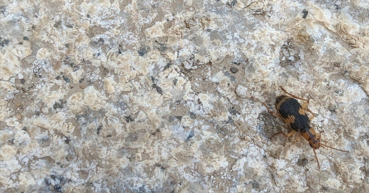 5e886deb43c6968895100780bfdc20