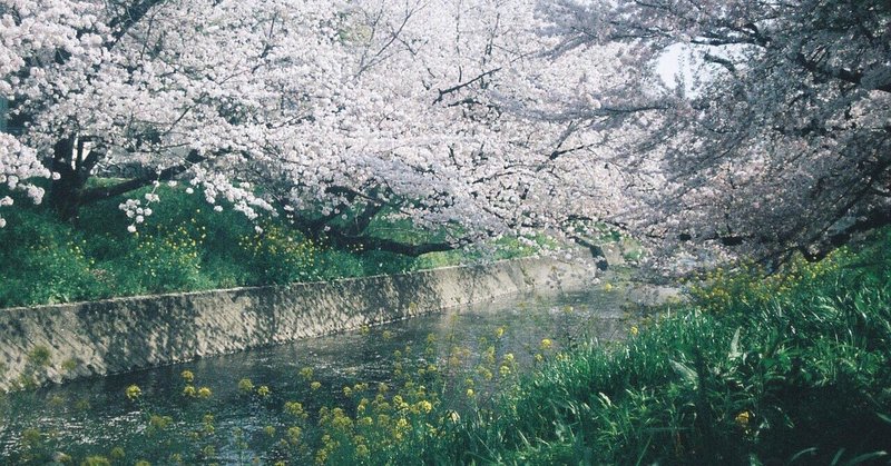 3年分の春るるる