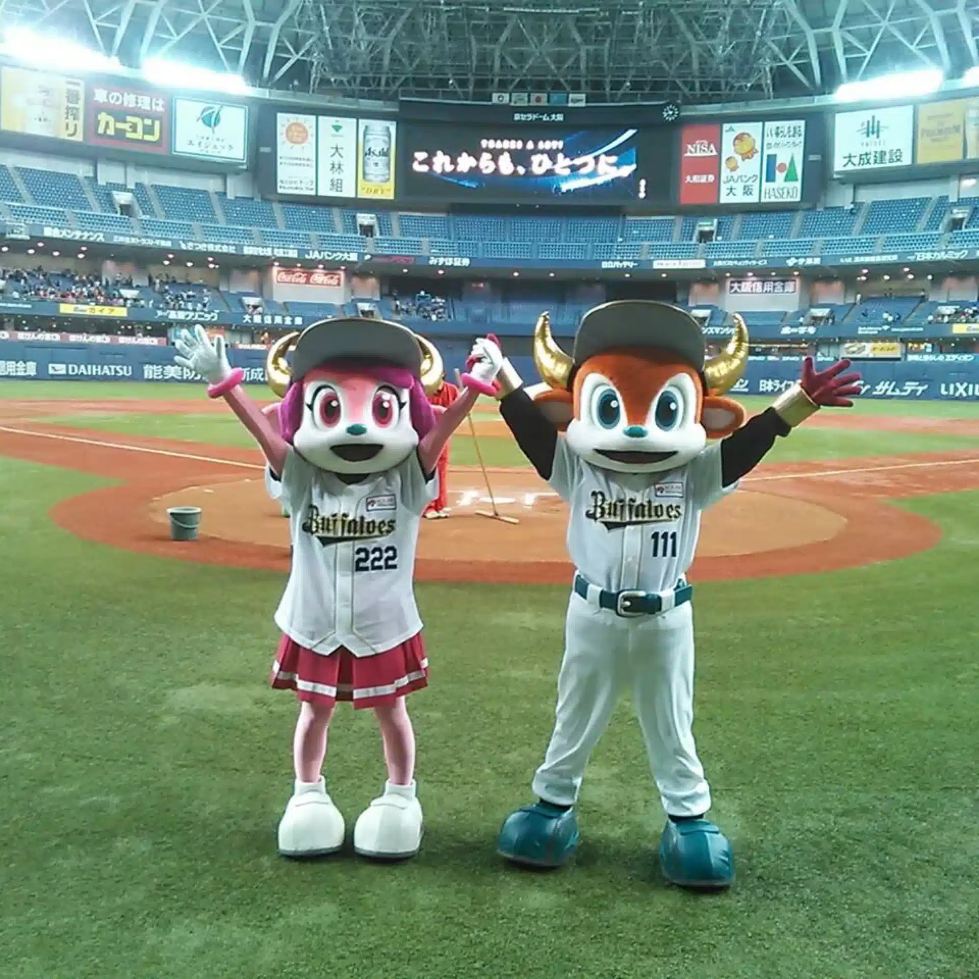 buffaloesfmarinos