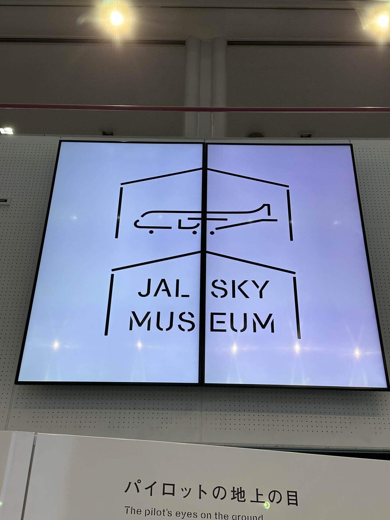 JAL リゾッチャ 98 パナソニック JAL リゾッチャ 98 パナソニック