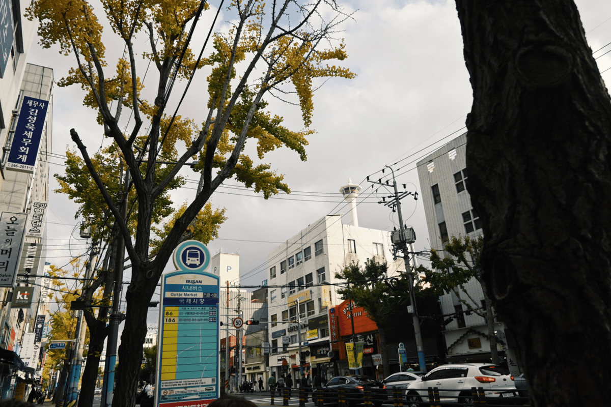 釜山❤ 釜山旅行】絶景カフェ｜もえぎ