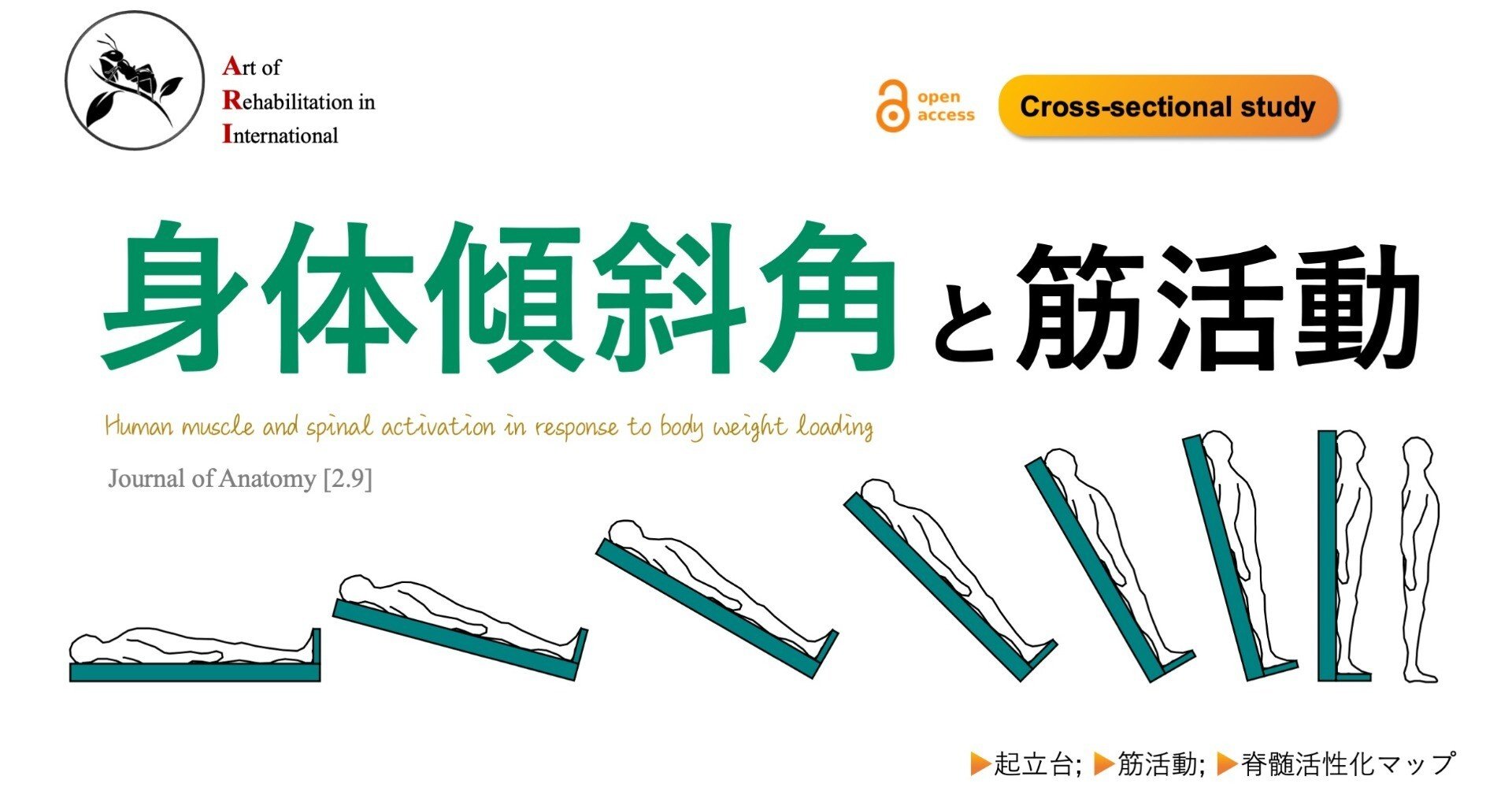 身体傾斜角と筋活動｜Super Human | 理学療法士／保健学博士 Ph.D.