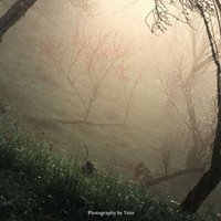 下町をノスタルジックにする Yuto Note