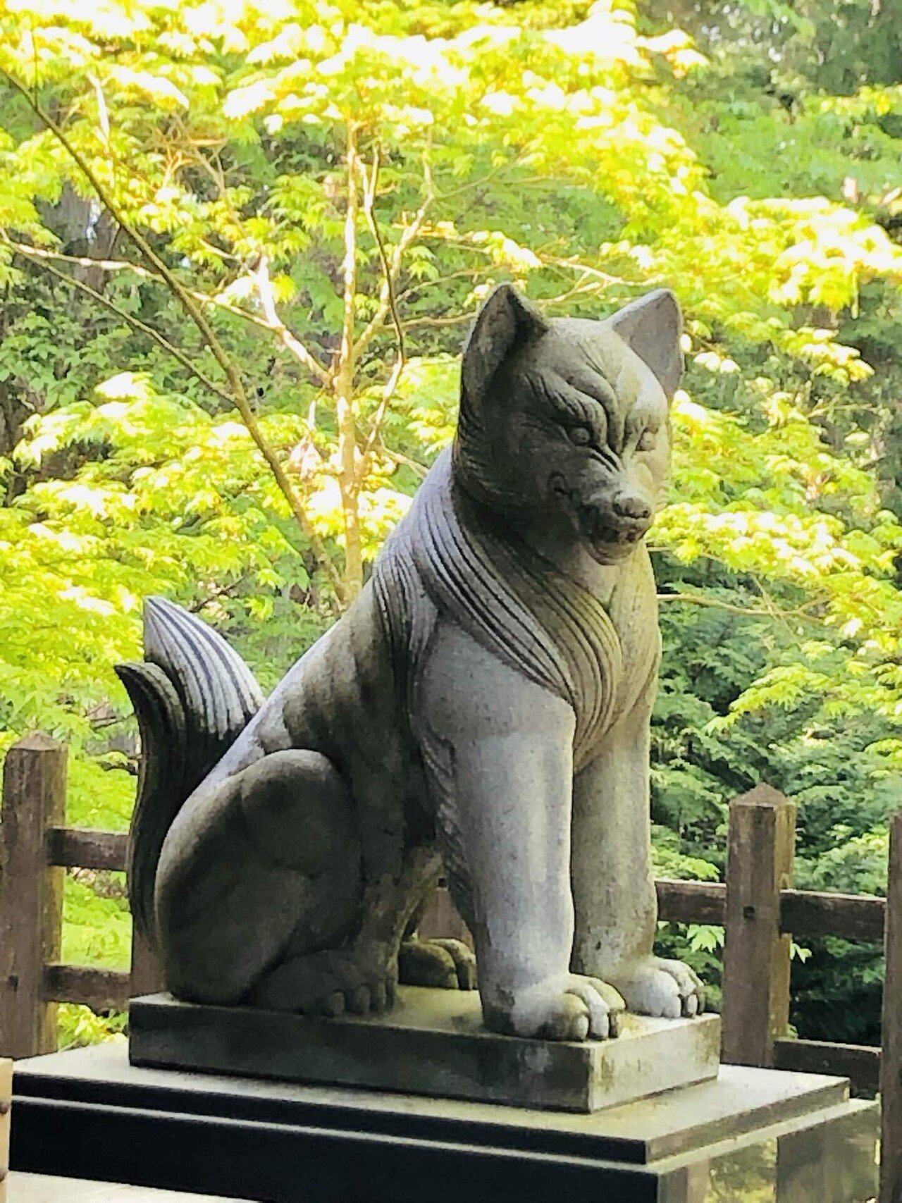おいぬ様 武蔵御嶽神社の『おいぬ様』 – 近藤醸造株式会社【キッコーゴ丸
