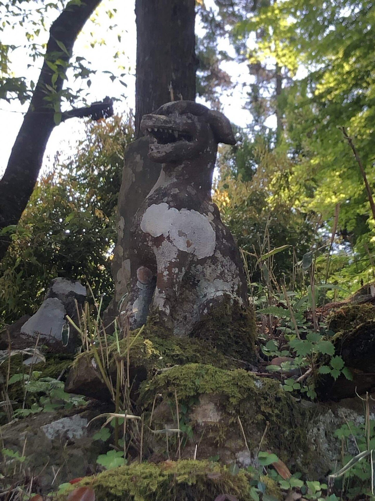 おいぬさまに会いに〜御嶽山・武蔵御嶽神社〜｜切貼民話師ゆーだい