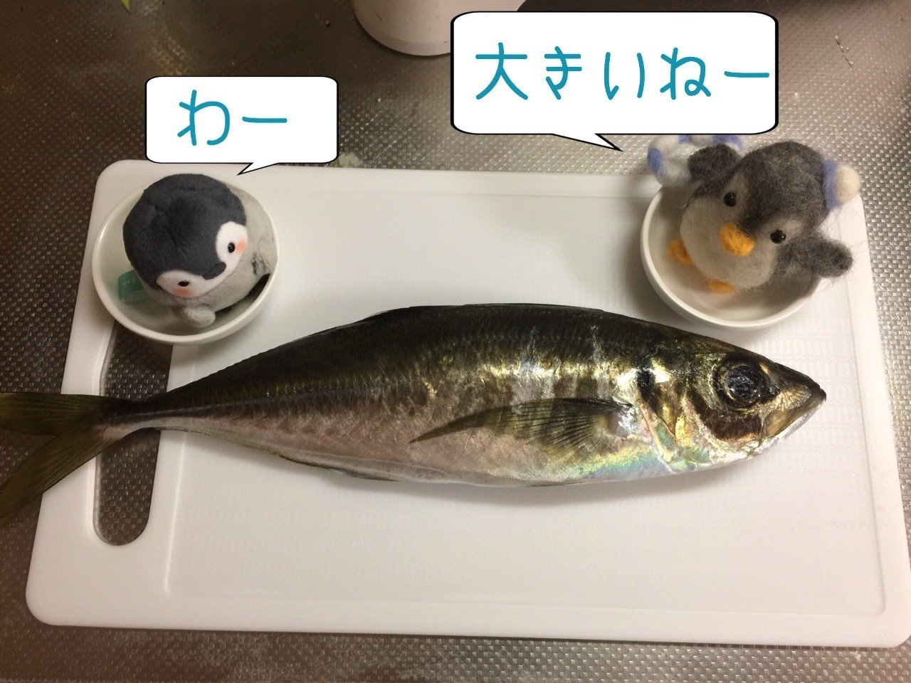 お刺身 できるだけ簡単に 今日のアジはどんな味 たのしいアジングと激うまレシピ Note