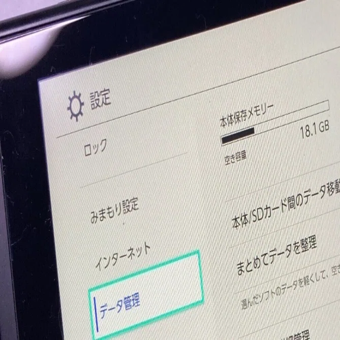 Troubleshooting] Nintendo Switch SD card slot not recognized
