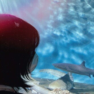 o_senti_noodle｜note