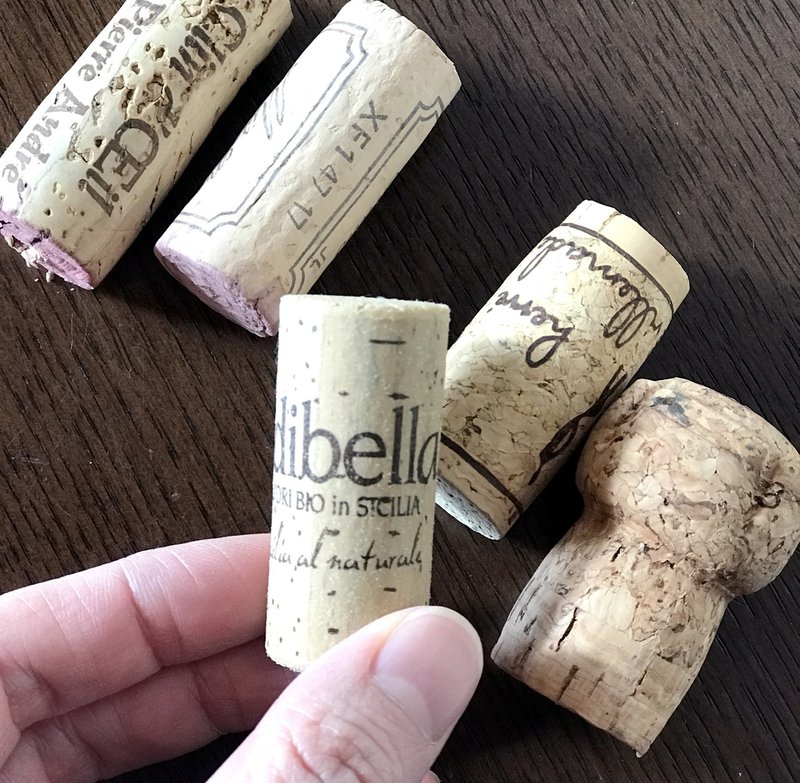 コルクのお話 泉美帆のただいま勉強中 Note