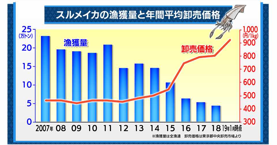 いかんともしがたい イカの値上がり 村野孝直 ｂｓテレ東 日経モーニングプラス 値段の方程式 Note