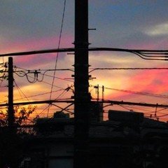 わたしとPOAROと15年間｜じゃこ。