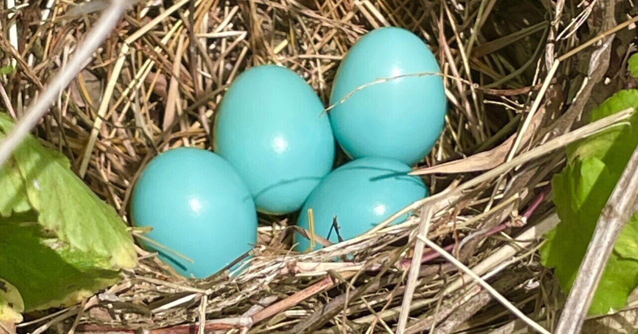 オイバツィカのガラス製鳥は卵 オイバツィカのガラス製鳥は卵