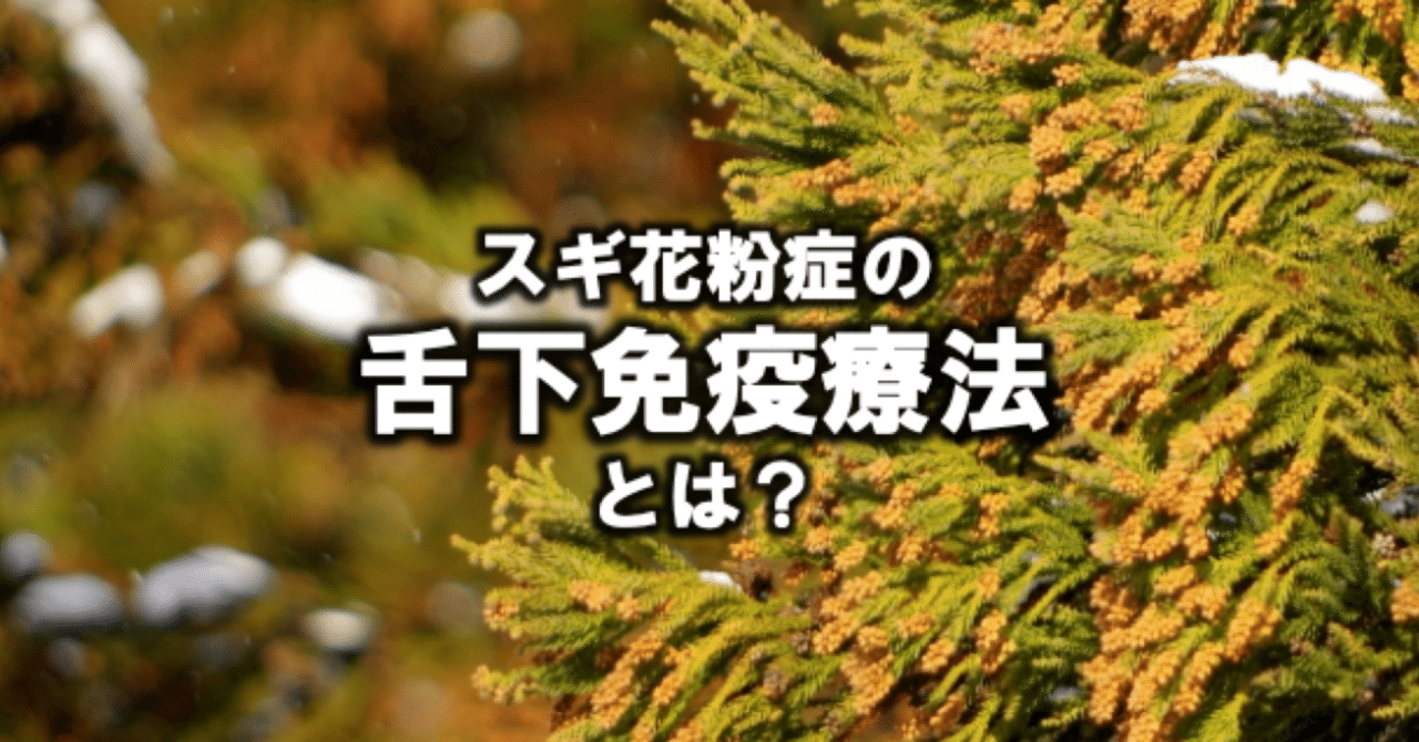 スクリーンショット_2019-03-14_18