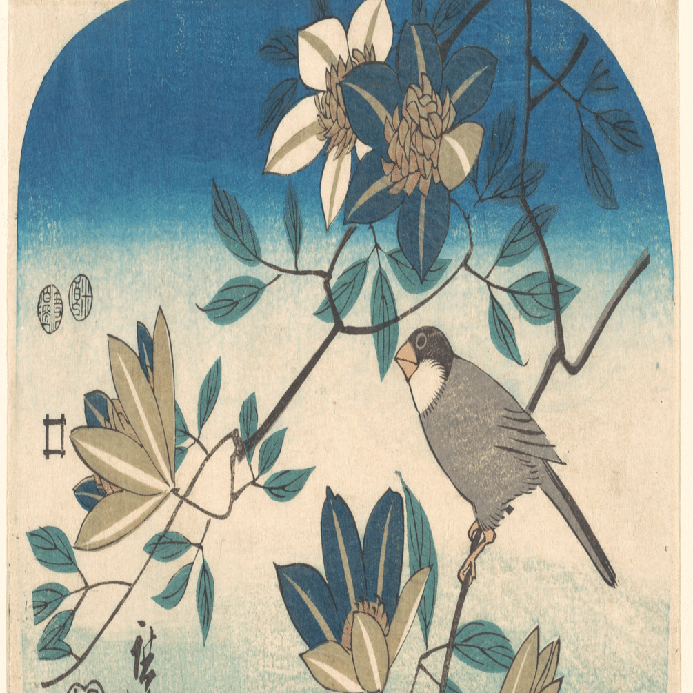 ちょこぼ　2点まとめ 絶対に知らない】小ネタ・隠し要素まとめ【チョコボの不思議な