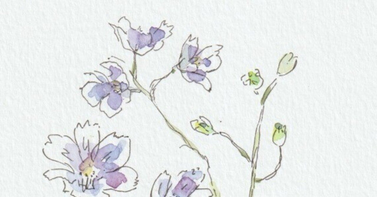 花の絵（デルフィニウム、カーネーション、あやめ）描きました｜水彩