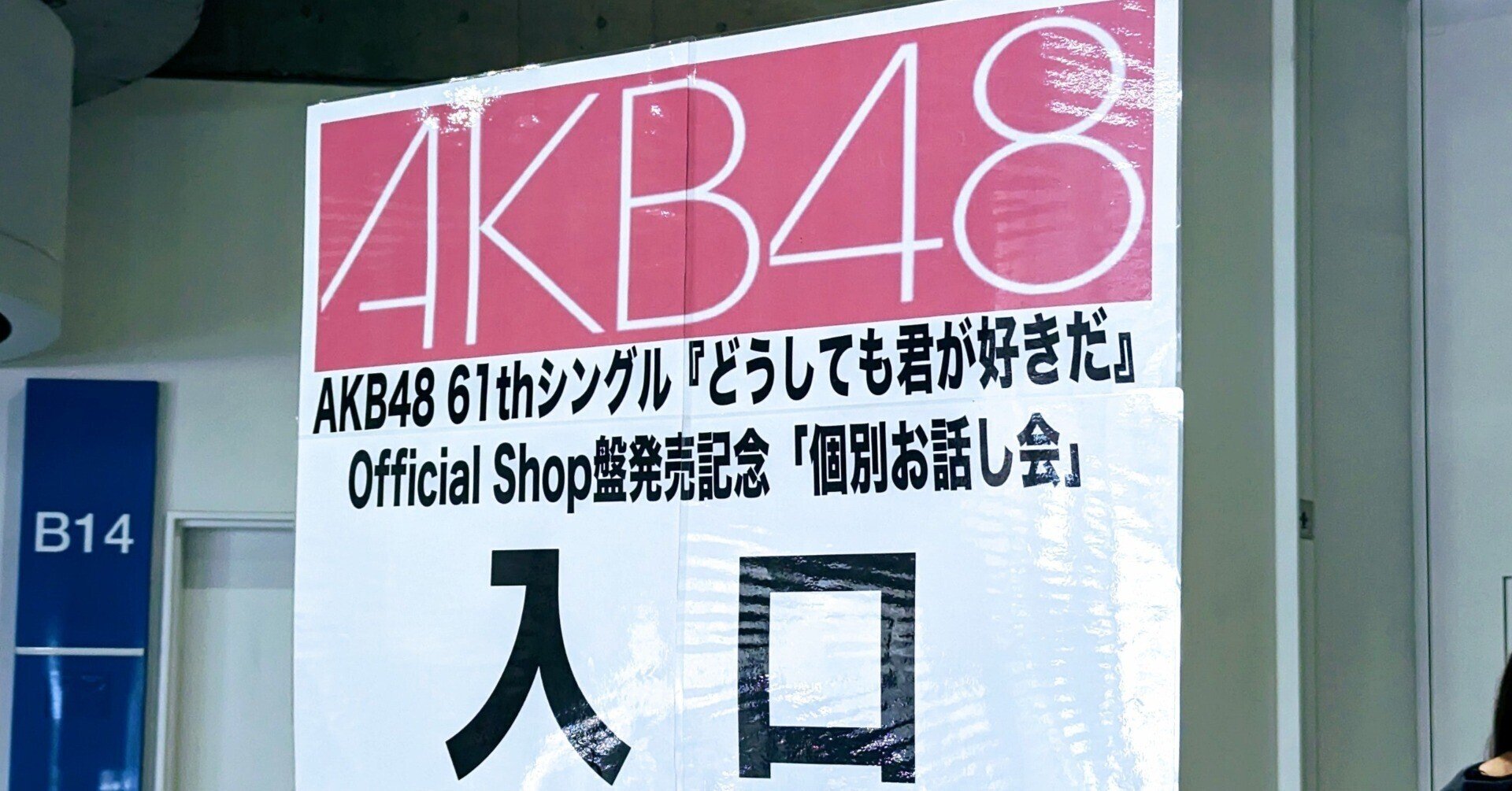 AKB48 どうしても君が好きだ 一推し個別お話会参加券 13枚