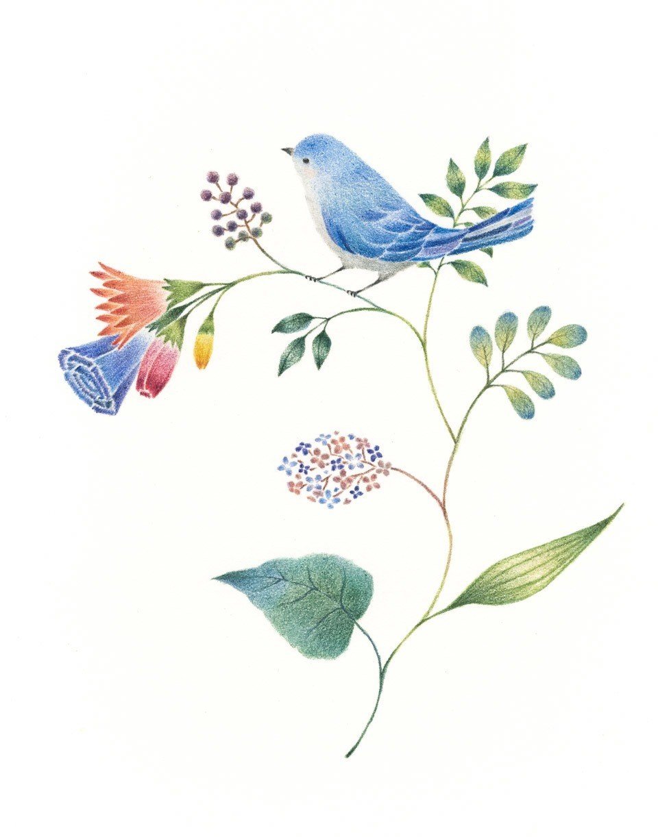 青色の小鳥と草花 の絵 アトリエ リリ 絵本とイラストと物語 Note