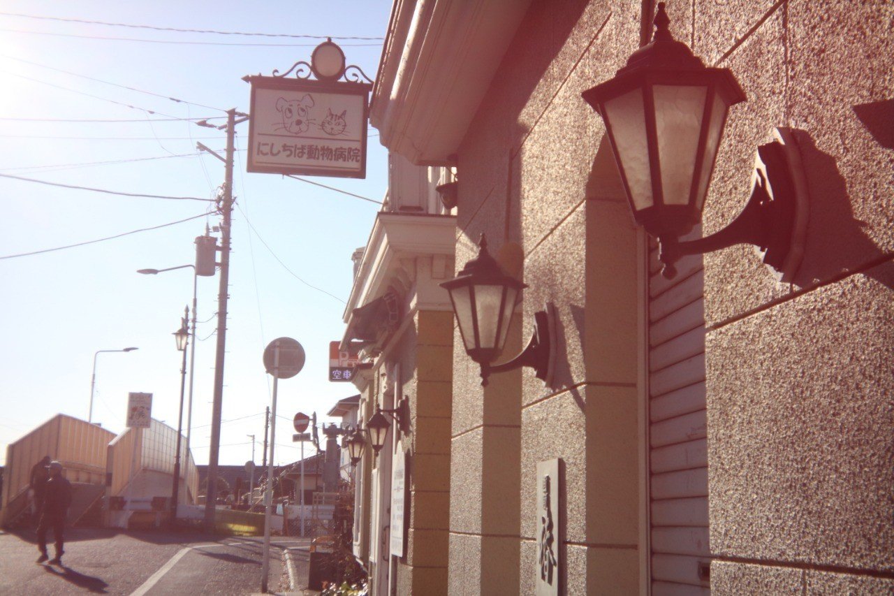 西千葉マロニエ通り｜オガまん｜note