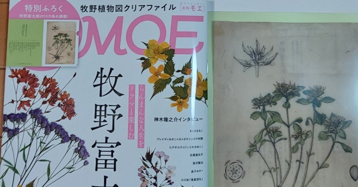 a2a47b3b777d903932d18fdda5da8c