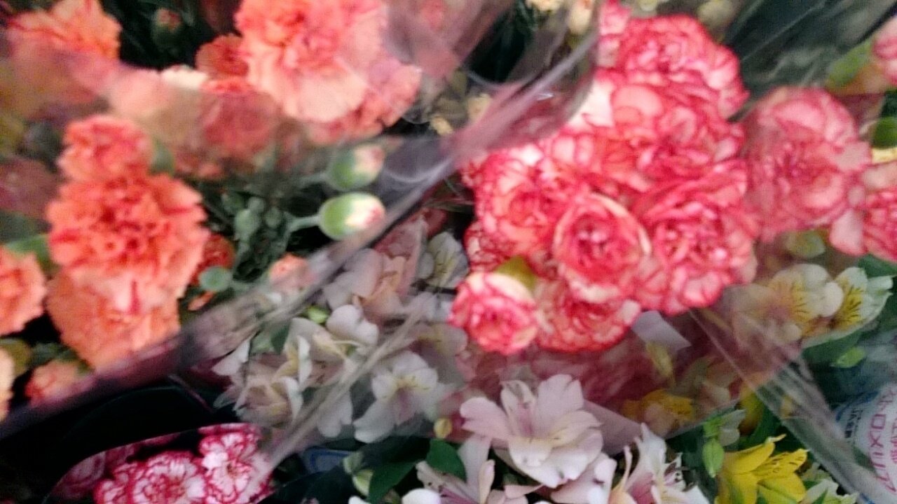100円 写真集 春の花レタッチ タッチ 試し読み あり 出虹 Note 100円 写真集 春の花レタッチ タッチ 試し読み あり 出虹 Note