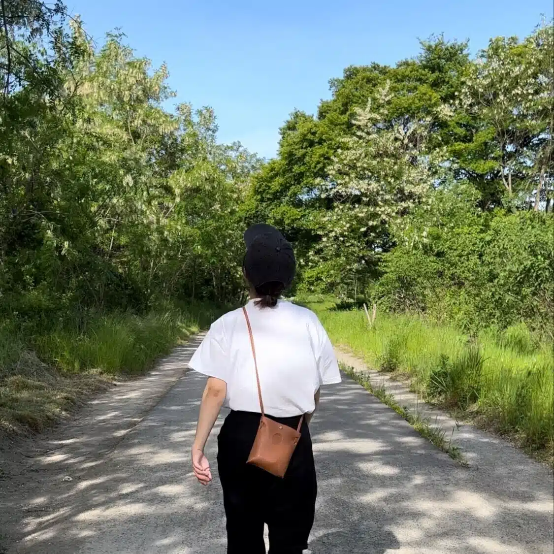 ﾘﾝﾉ。