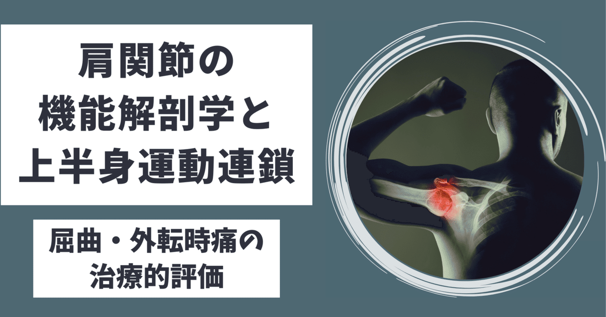 肩関節の機能解剖学と上半身運動連鎖〜屈曲・外転時痛の治療的