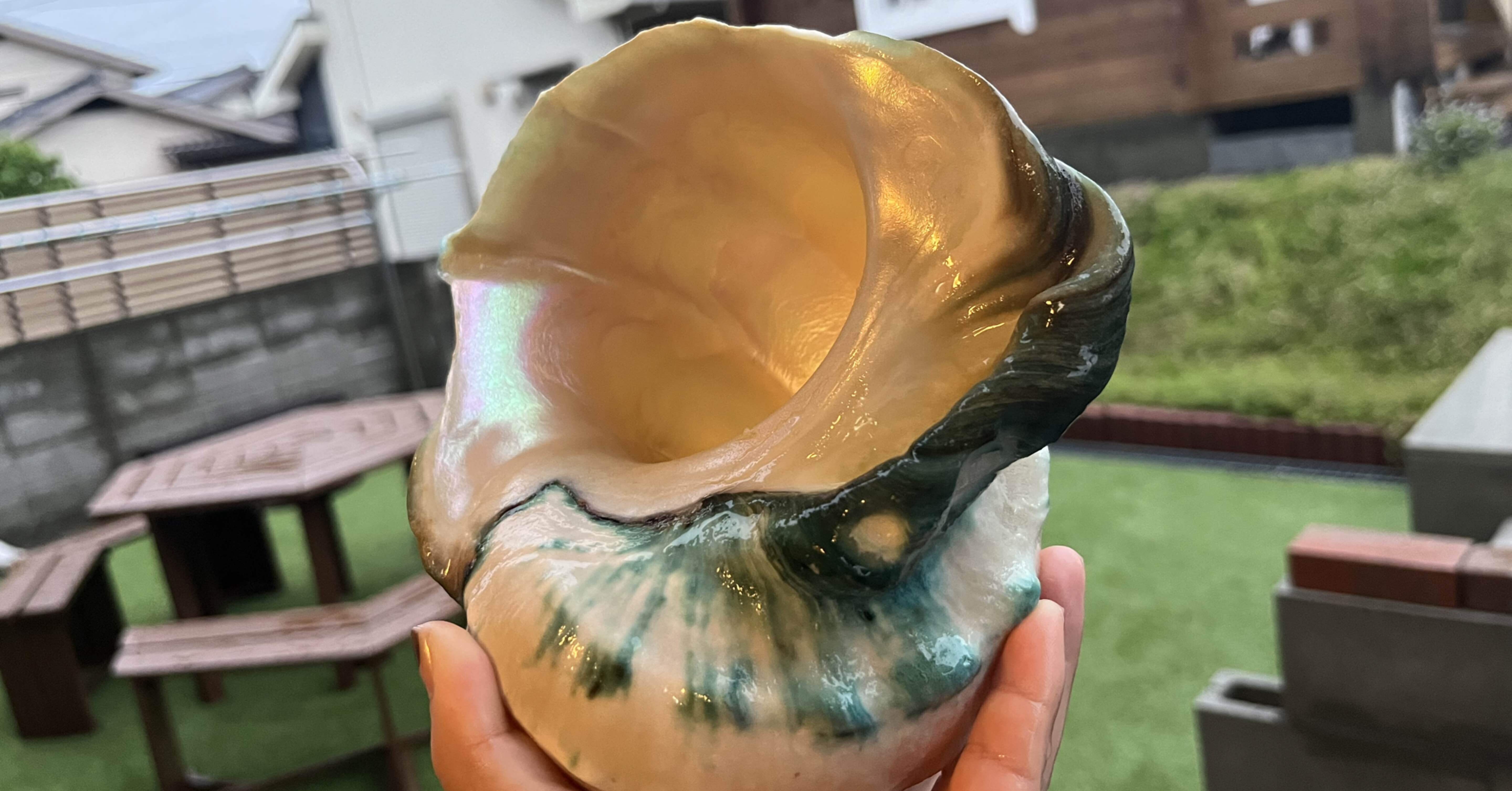 夜光貝を磨く【上】｜きゃべつ🥕(もうすぐ学生)