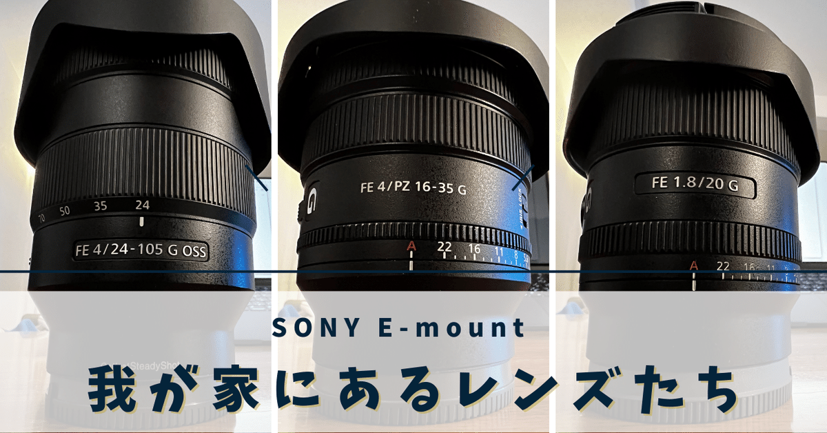 ソニー α7Ⅳ(ILCE-7M4)を買ってみた⑥ 機材を保護しつつドレス