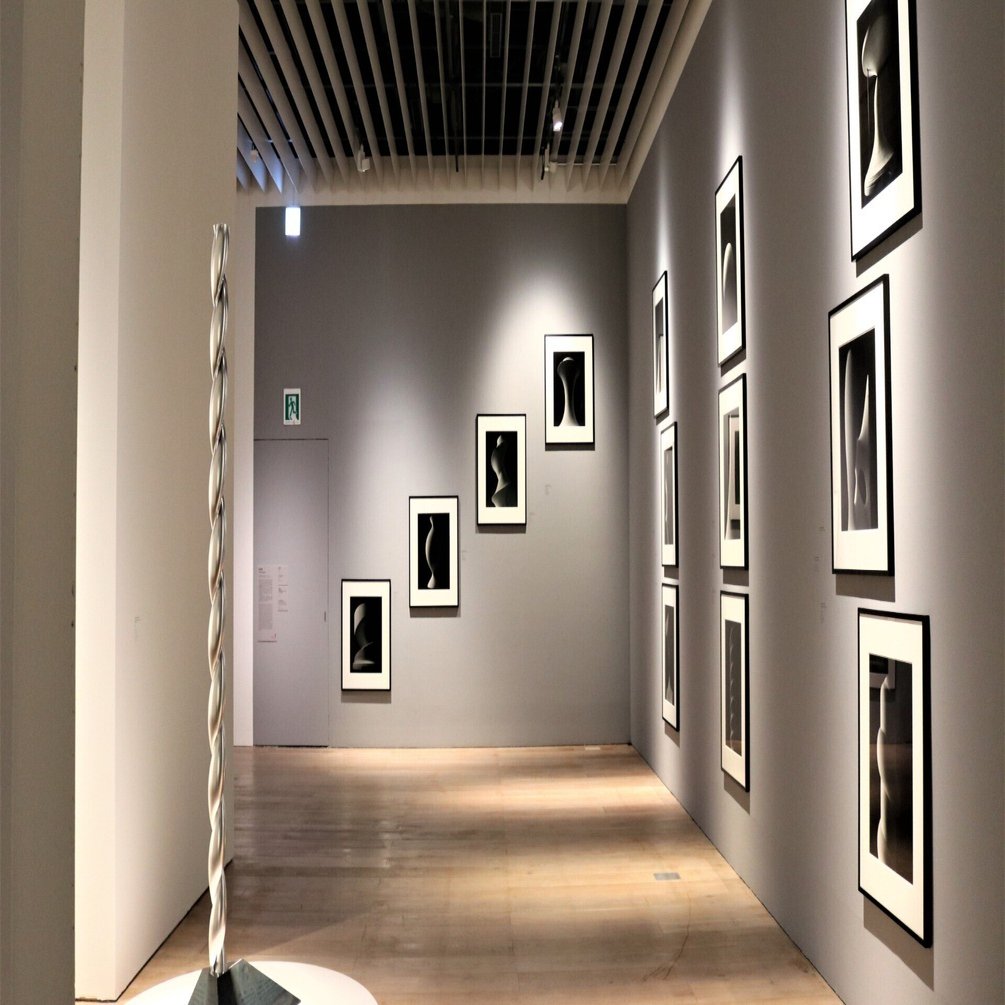 現代芸術　時空連続体仮説 森美術館20周年記念展 ワールド・クラスルーム：⑥ [数学] [総合