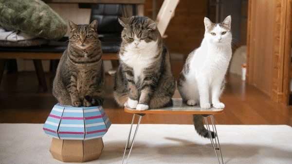 ぼくたちの会話―mugumogu―｜ヤマト運輸公式note