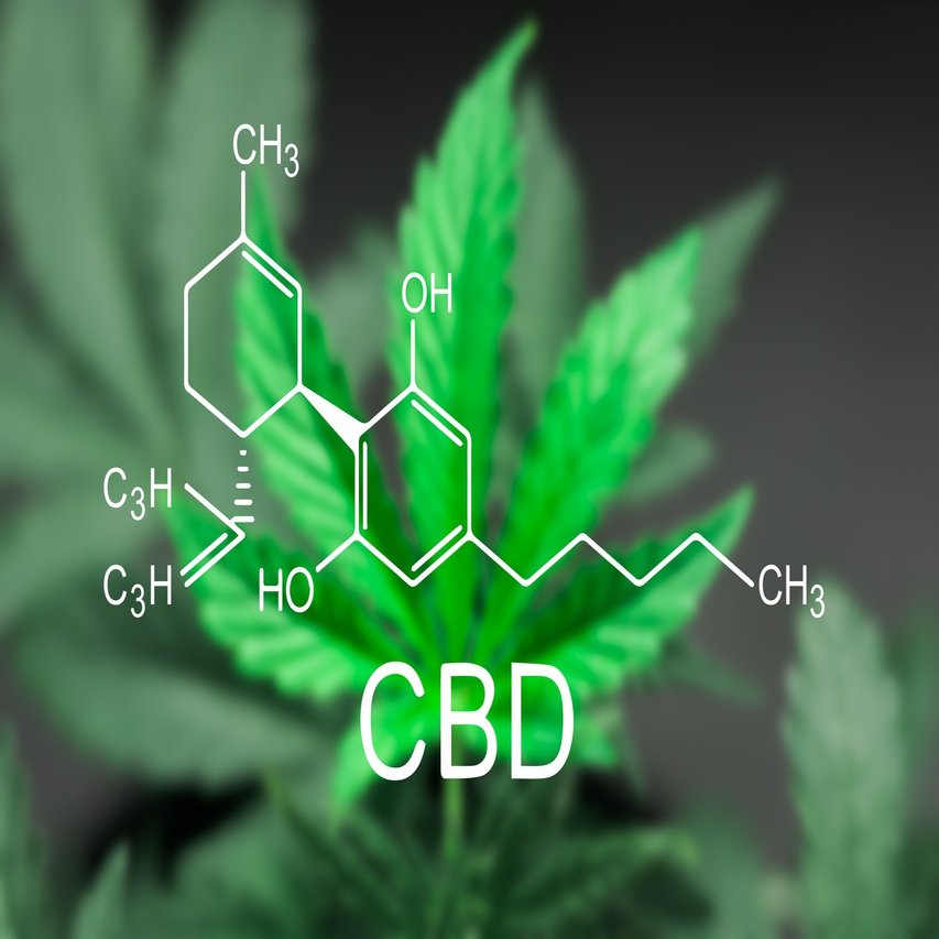 大麻コスメ市場急成長 その背景にあるのはナチュラルを求める消費者意識 Beautytech Jp
