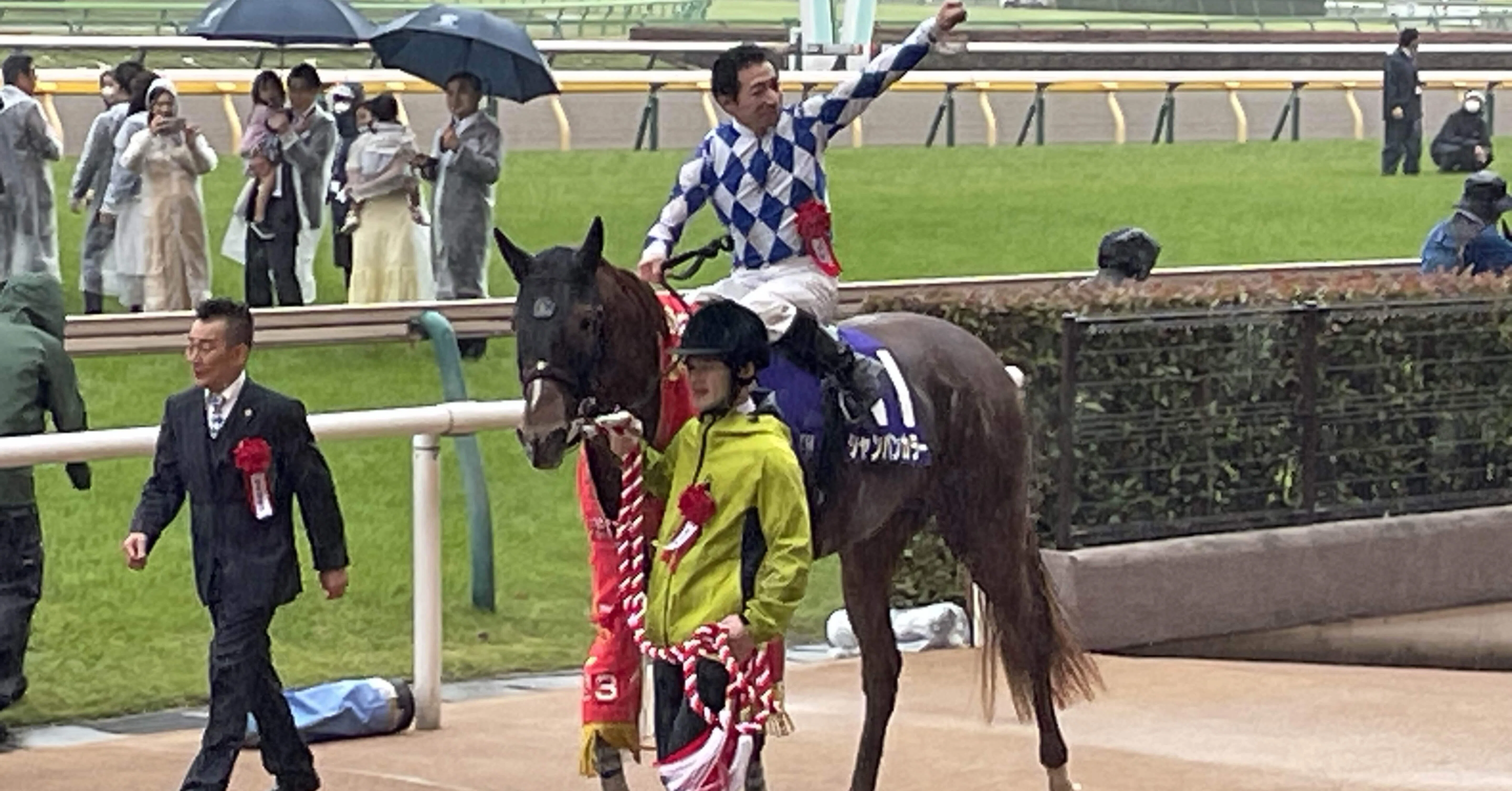 エイシンフラッシュ 天皇賞秋 現地単勝馬券セット｜スポーツ