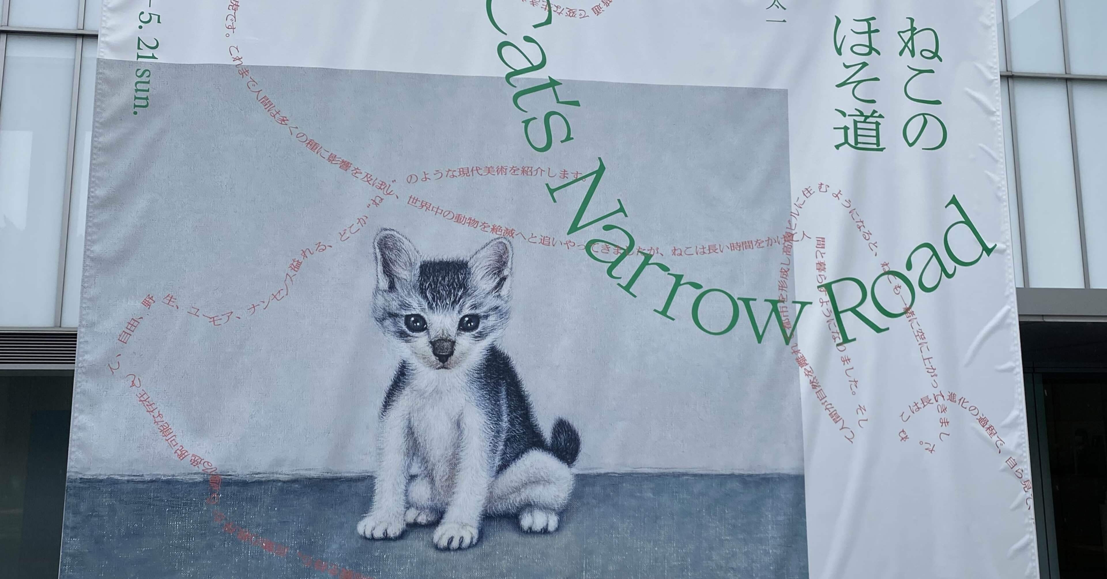 370942ba29a7f7b2b3c4aa90e2071f