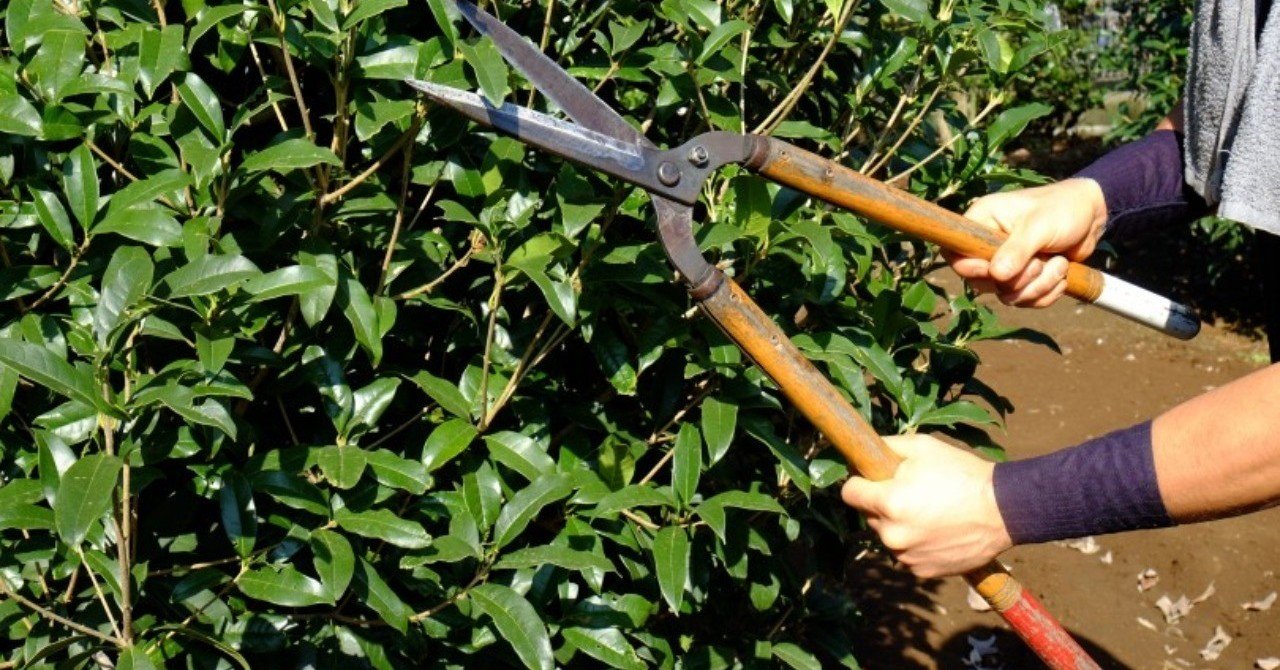 植木屋最大のタブー を知った日 婿養子 note