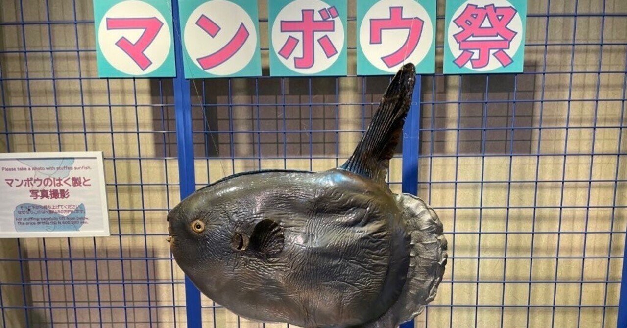 マンボウ祭｜街角の照明