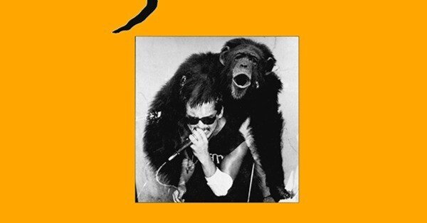 暗黒大陸じゃがたら/南蛮渡来 暗黒大陸じゃがたら – 南蛮渡来 | Releases | Discogs