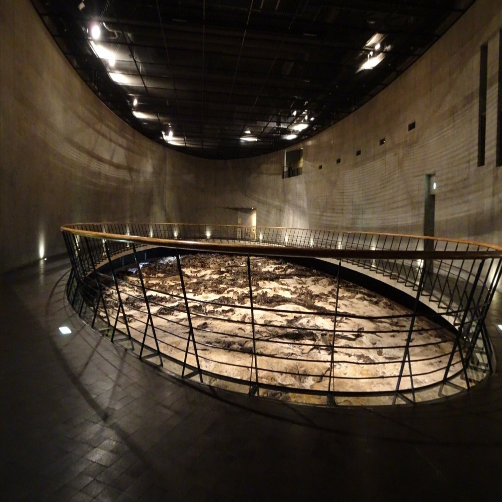 つながる旅行記#145】地底の森ミュージアムで旧石器時代を想う｜aosagi