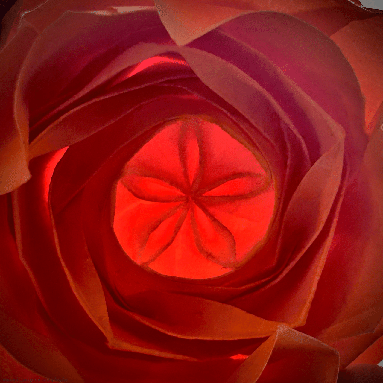 佐藤ローズ最高難度「ロゼット咲きのオールドローズ」に3年ぶりの