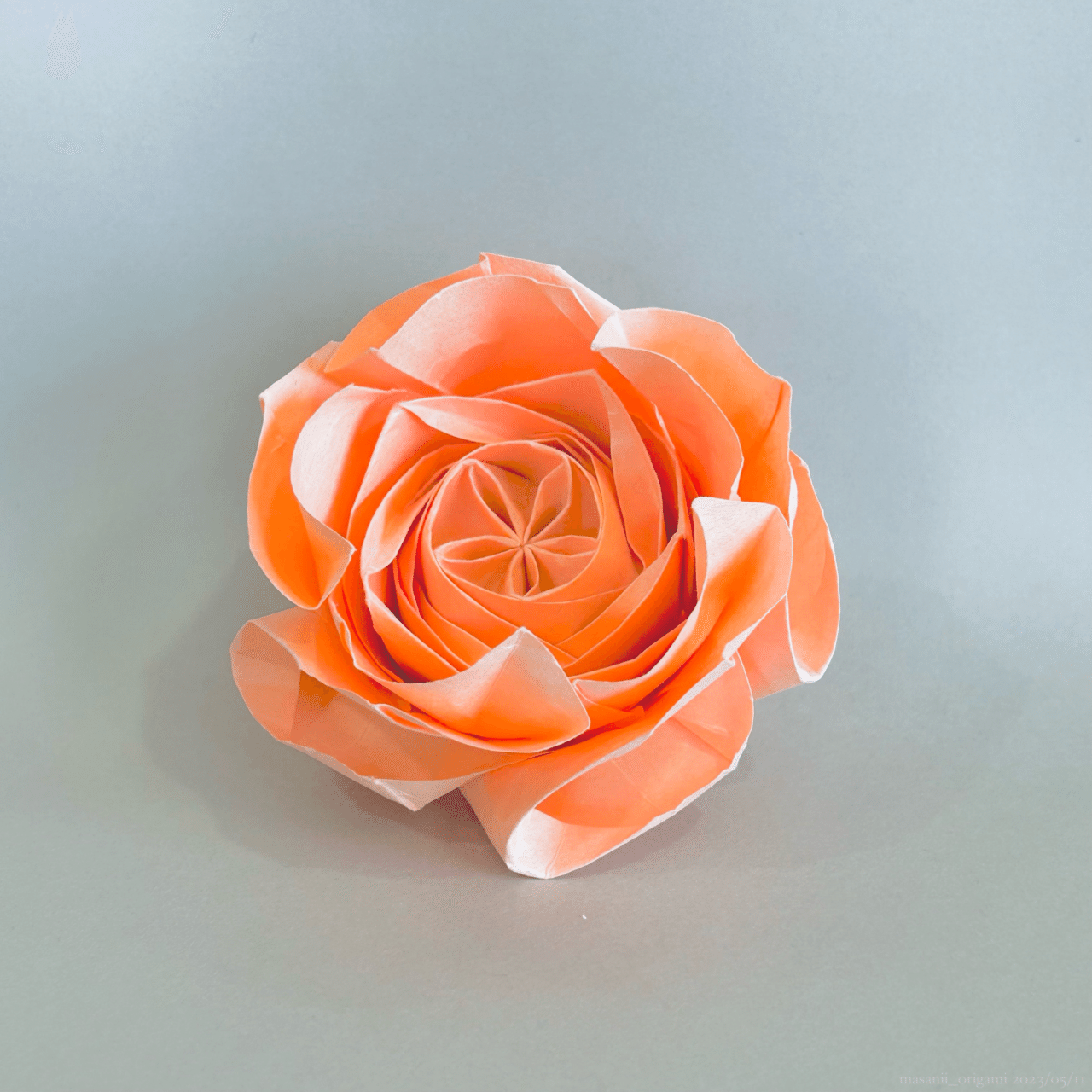 佐藤ローズ最高難度「ロゼット咲きのオールドローズ」に3年ぶりの