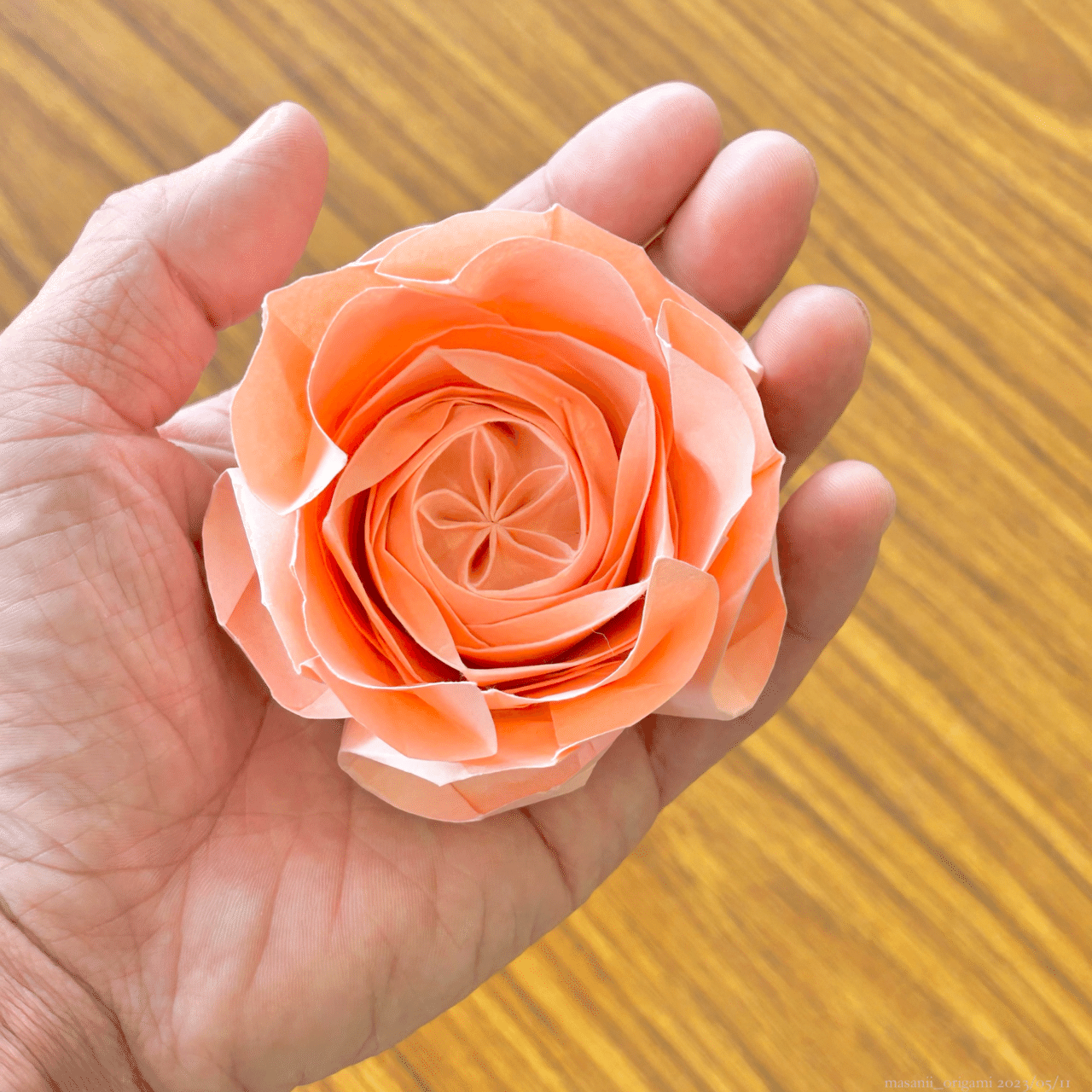 佐藤ローズ最高難度「ロゼット咲きのオールドローズ」に3年ぶりの